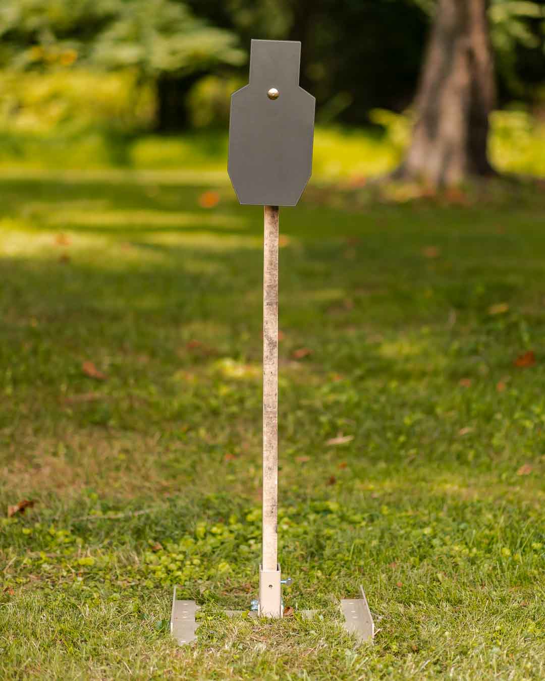 Genesis Reduced C Zone Steel Target